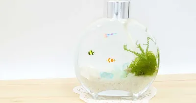 香りを楽しむ海のハーバリウムの作り方
