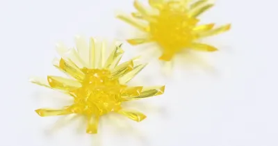 透明感が美しい！立体的で繊細なレジンのたんぽぽパーツの作り方