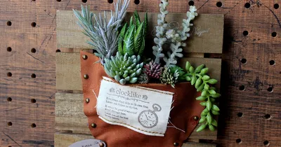フェイクグリーンのある暮らし…多肉植物の男前インテリア