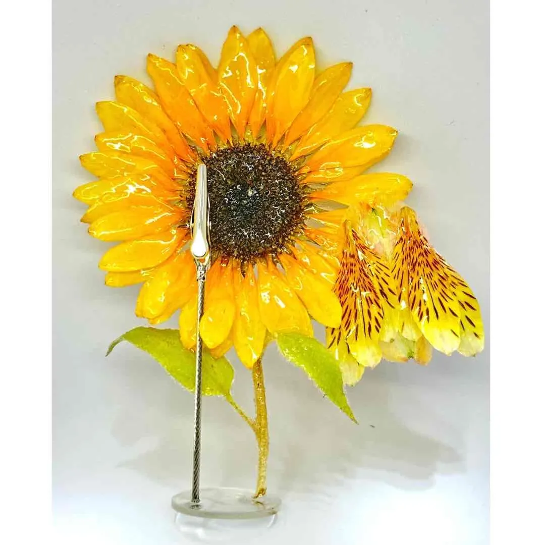 ねこねこ堂さんのレジン作品 | 作家のためのレジン 100g