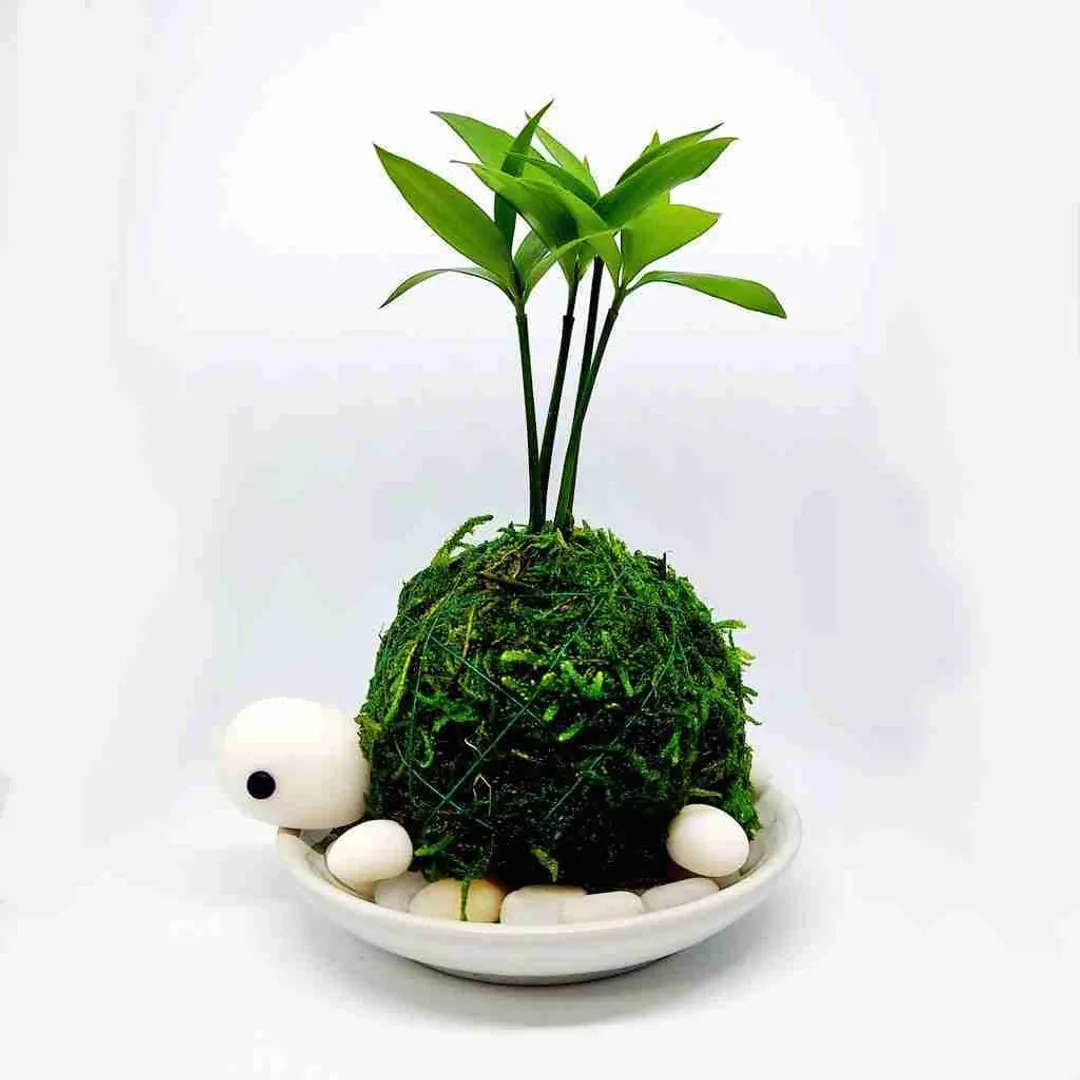 うららさんのその他の
ハンドメイド作品 | 樹脂粘土 ホワイト 30g