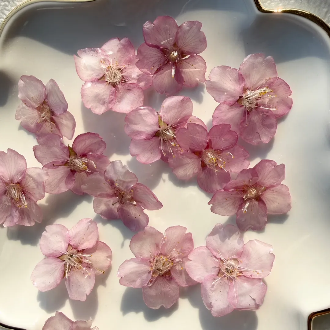 sea_riryさんのレジン作品 | 【クーポンあり】レジン液 UV LEDレジン 「 星の雫 大...