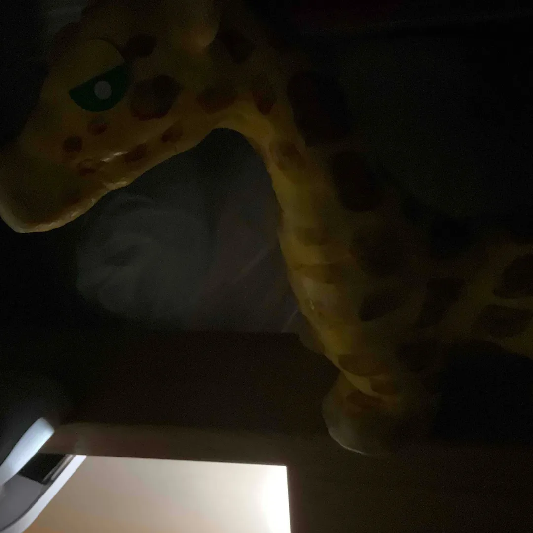 投稿作品（1枚目）
