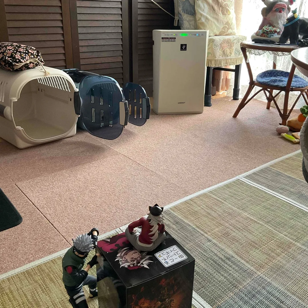 投稿作品（3枚目）