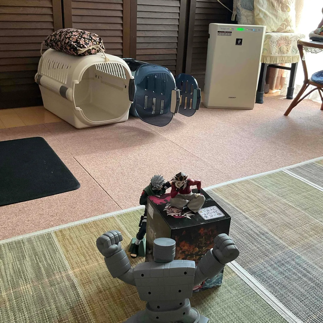 投稿作品（2枚目）