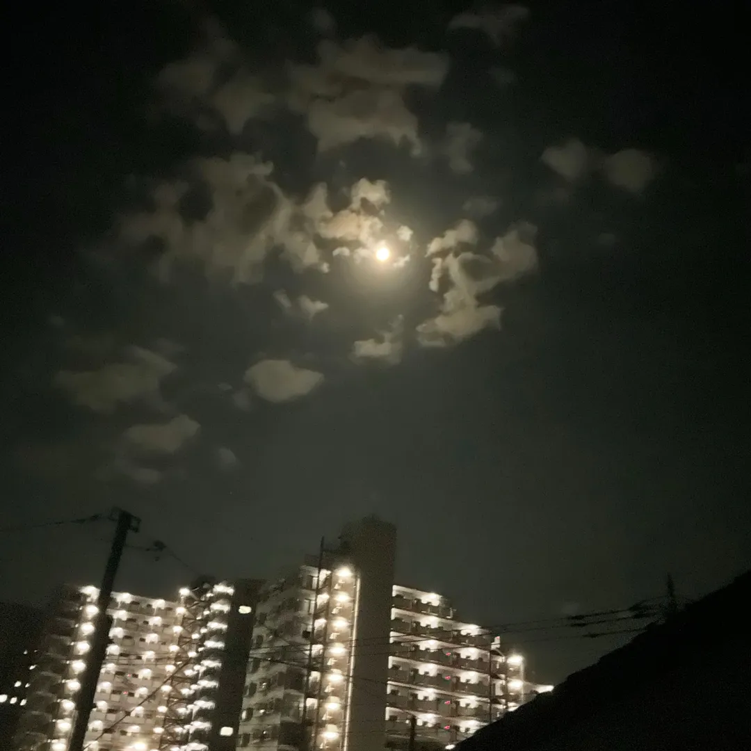 投稿作品（2枚目）