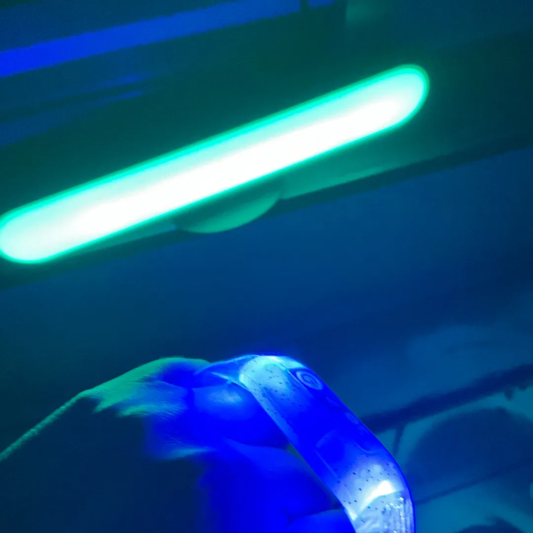 辛⛈️超絶nendo🏅manさんのお便り作品 | ライト