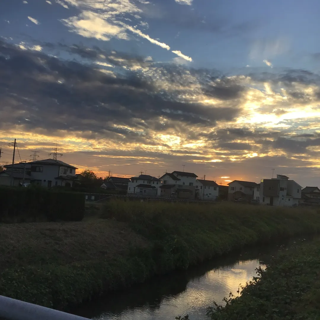 投稿作品（3枚目）