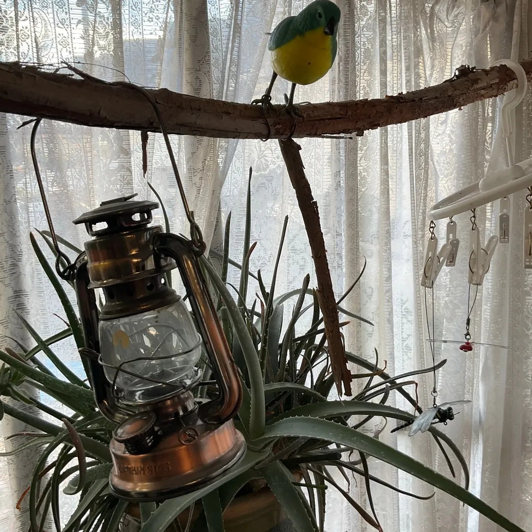 辛⛈️超絶nendo🏅manさんの粘土作品 | おもちゃ