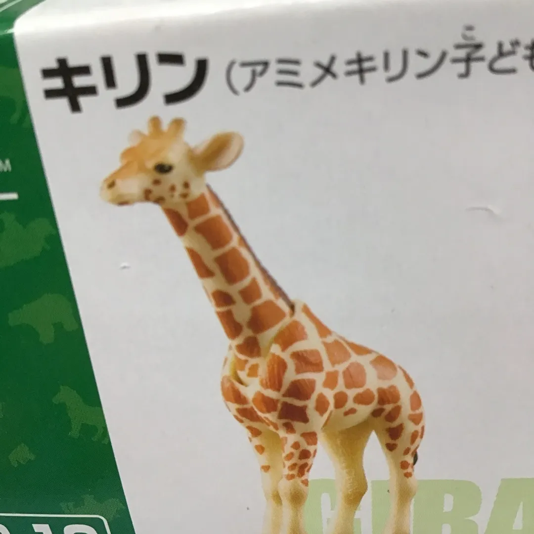 投稿作品（3枚目）