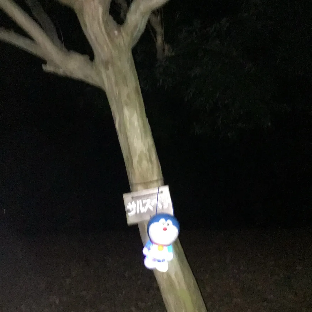 超絶⚡️nendo🏅manさんの粘土作品 | ライト