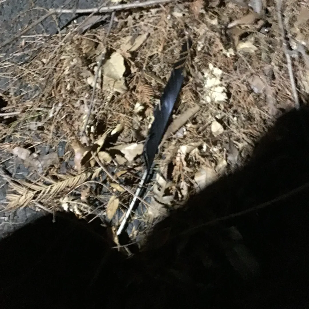 投稿作品（3枚目）