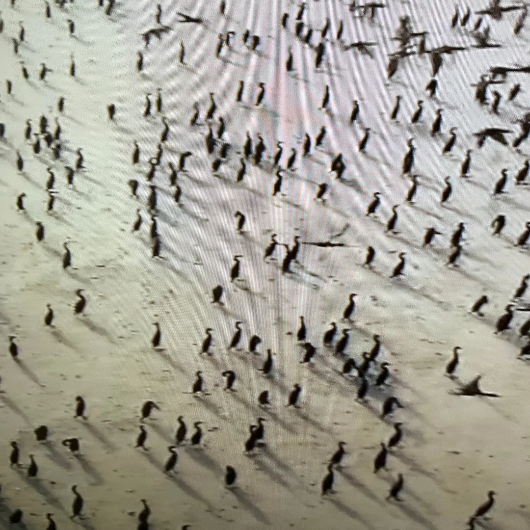 投稿作品（3枚目）