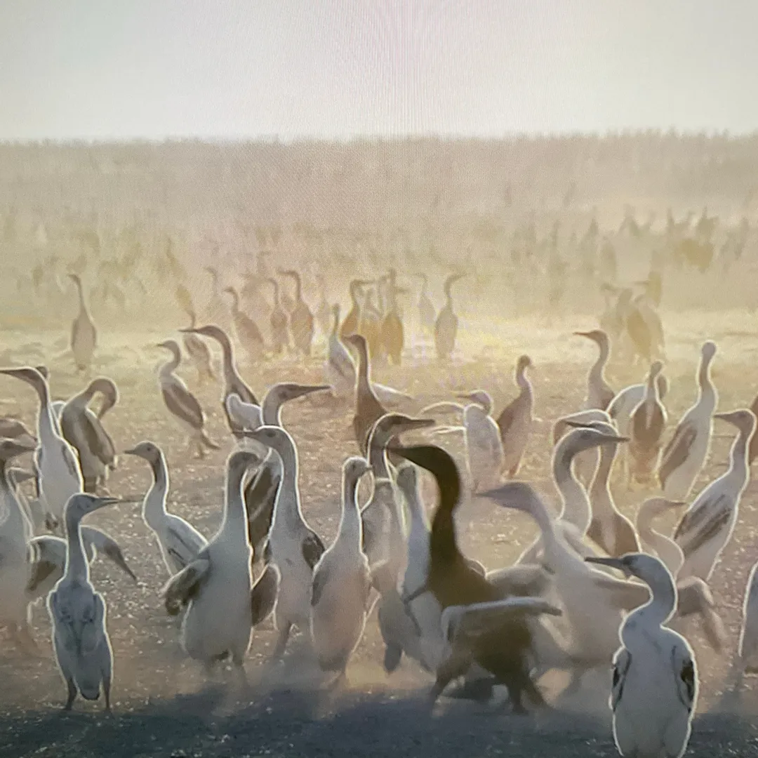投稿作品（1枚目）