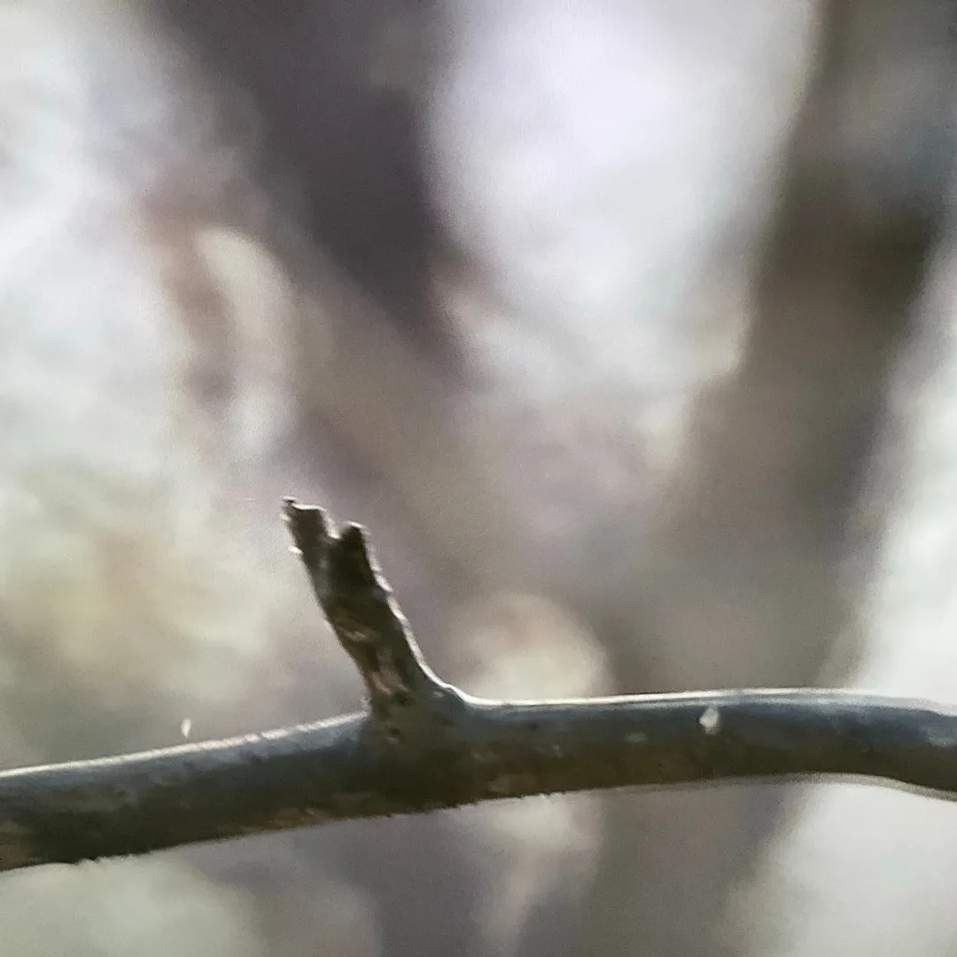 投稿作品（3枚目）