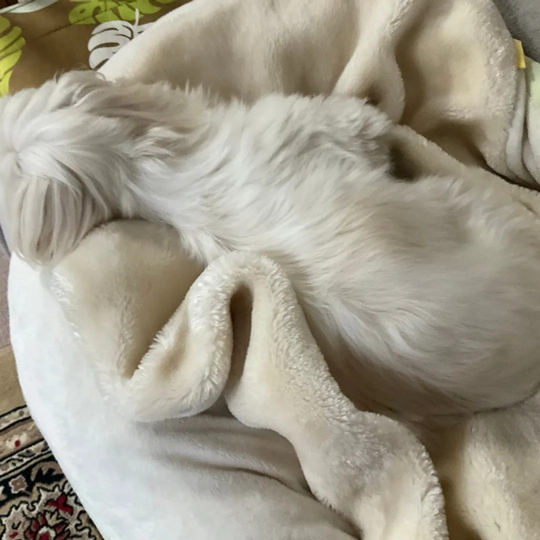 投稿作品（2枚目）