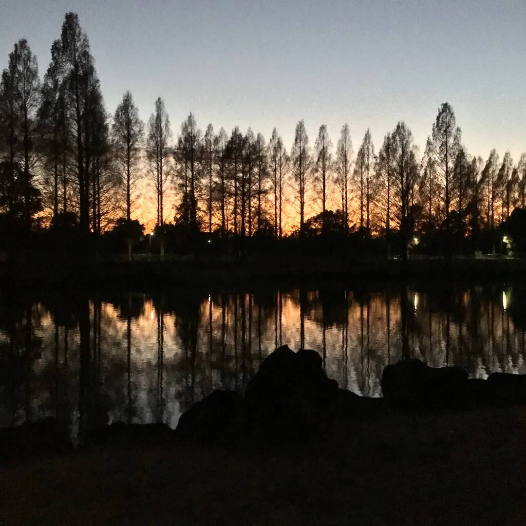 辛⛈️超絶nendo🏅manさんの粘土作品 | ライト