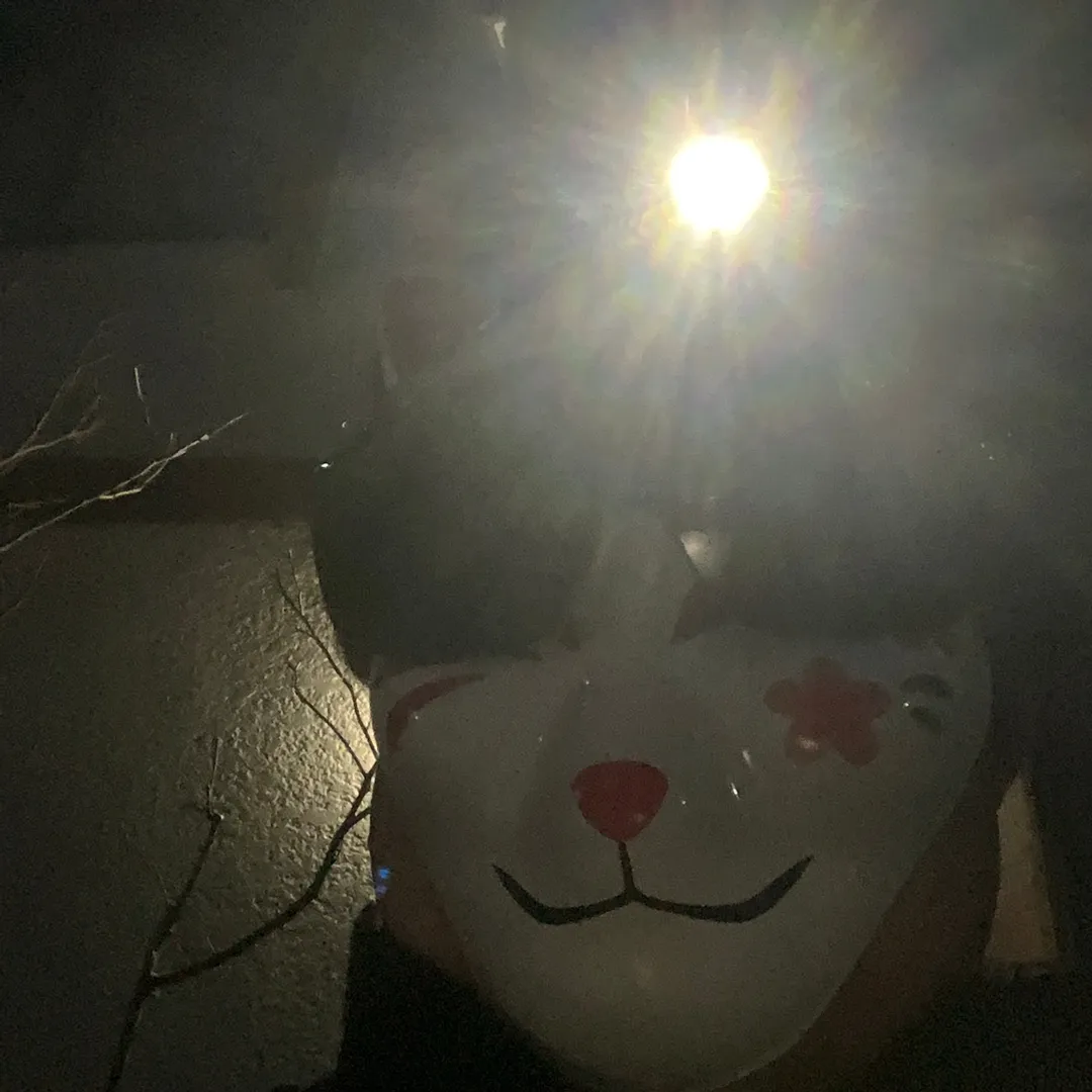 超絶⚡️nendo🏅manさんの粘土作品 | ライト