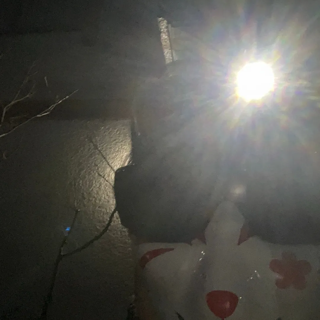 超絶⚡️nendo🏅manさんの粘土作品 | おもちゃ