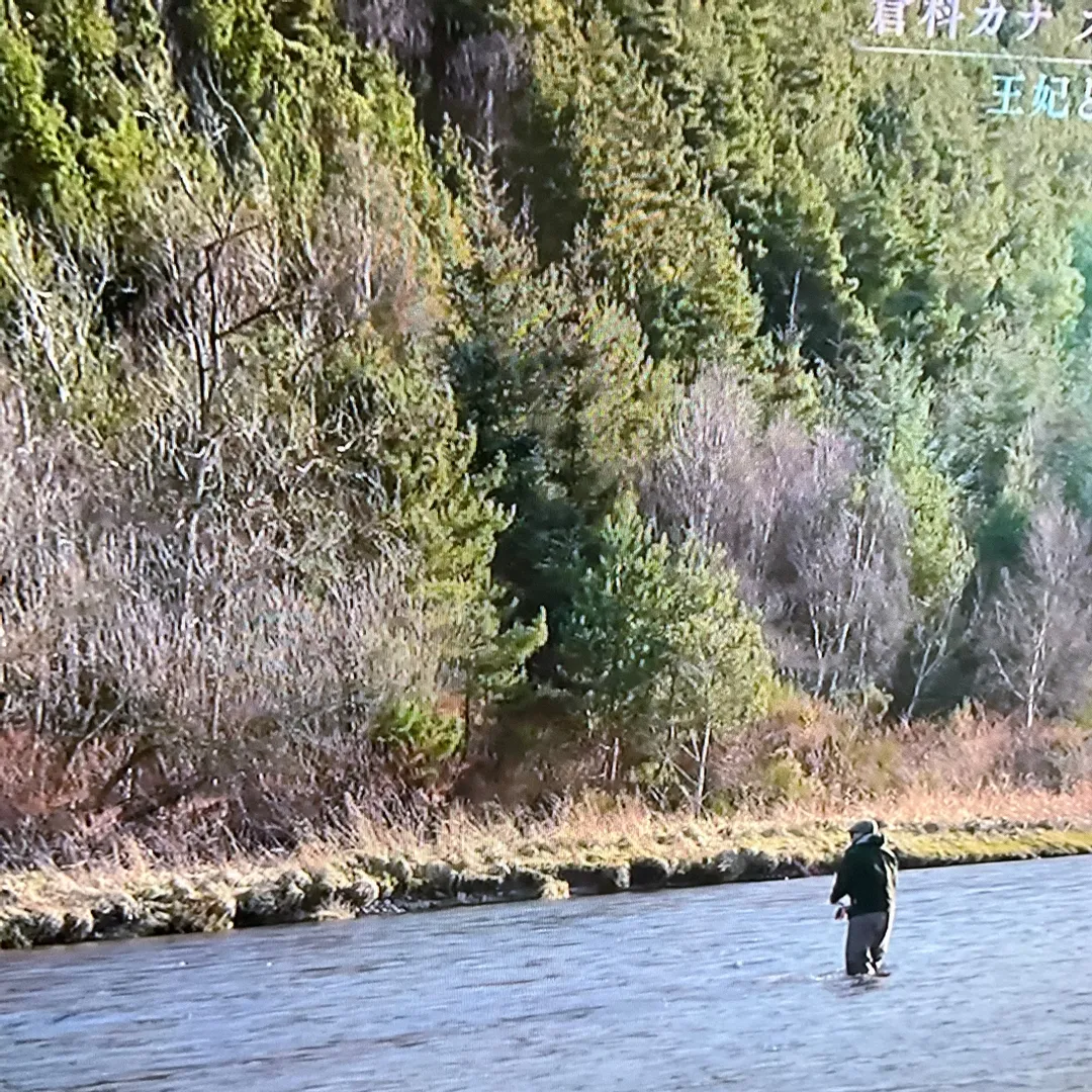 超絶⚡️nendo🏅manさんの粘土作品 | ライト