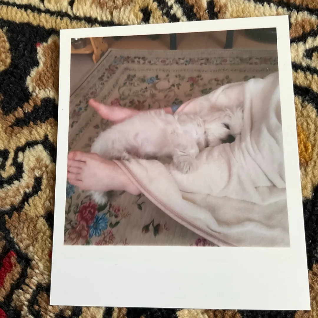 超絶⚡️nendo🏅manさんの粘土作品 | ライト