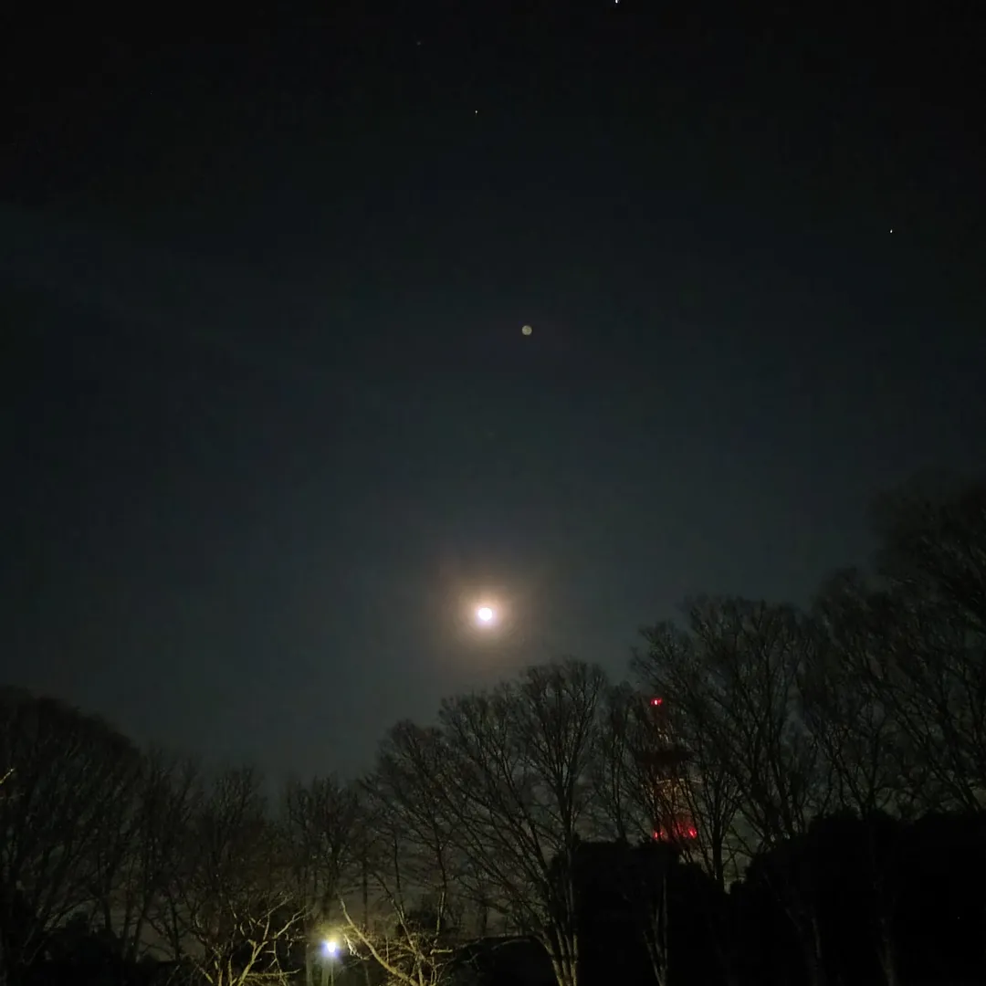 超絶⚡️nendo🏅manさんの粘土作品 | ライト