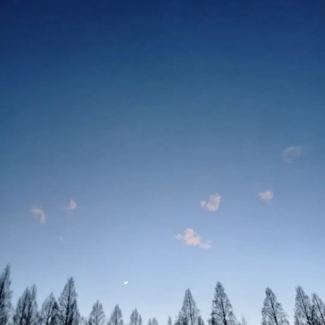 口が空飛ぶ🪽靴👞みたいなおじさんさんの粘土作品 | ライト