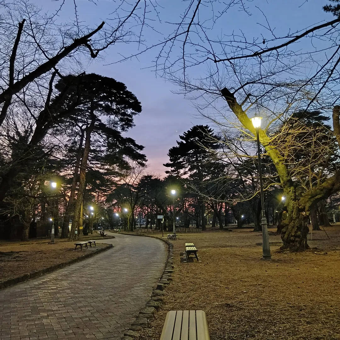 超絶⚡️nendo🏅manさんの粘土作品 | ライト