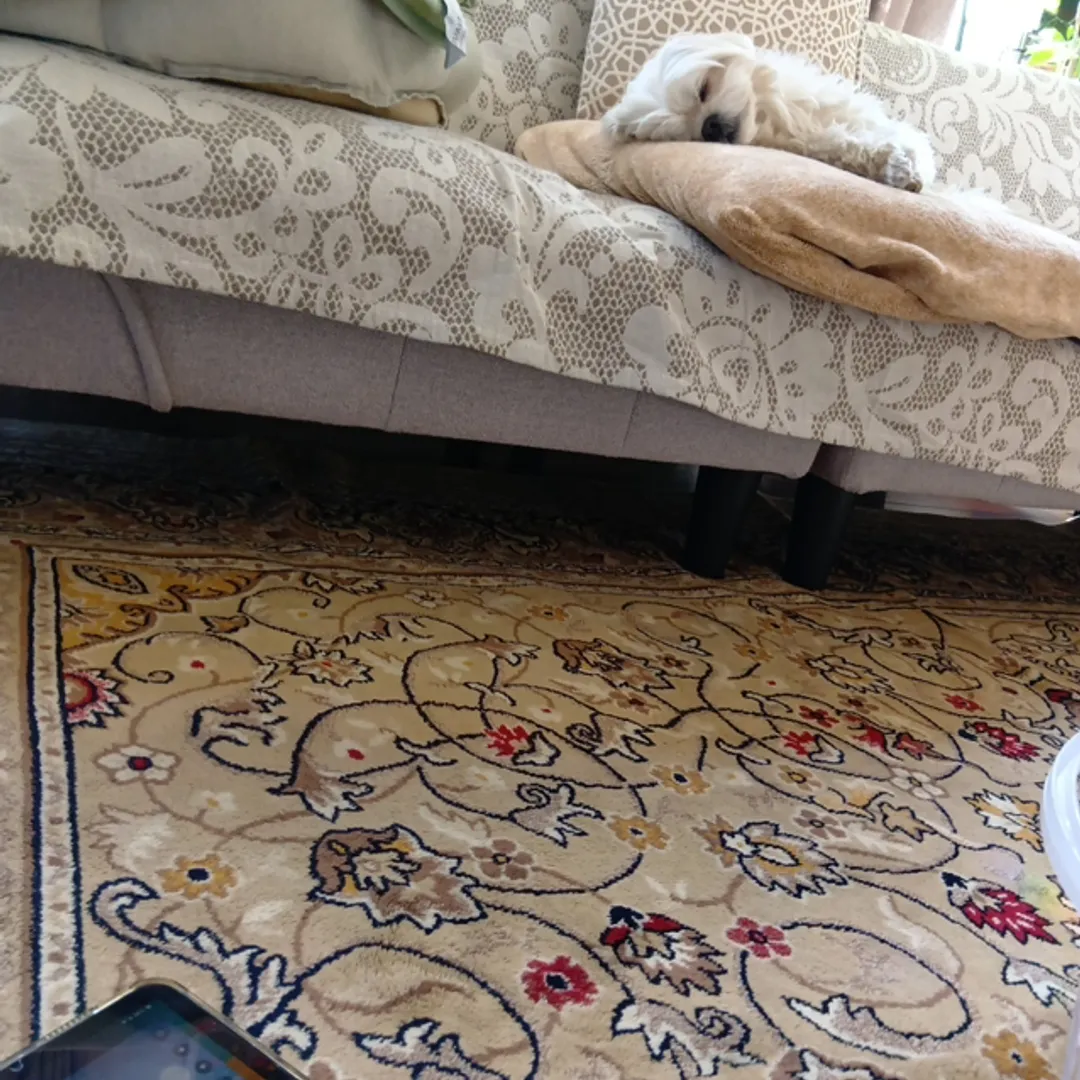 超絶⚡️nendo🏅manさんの粘土作品 | ライト