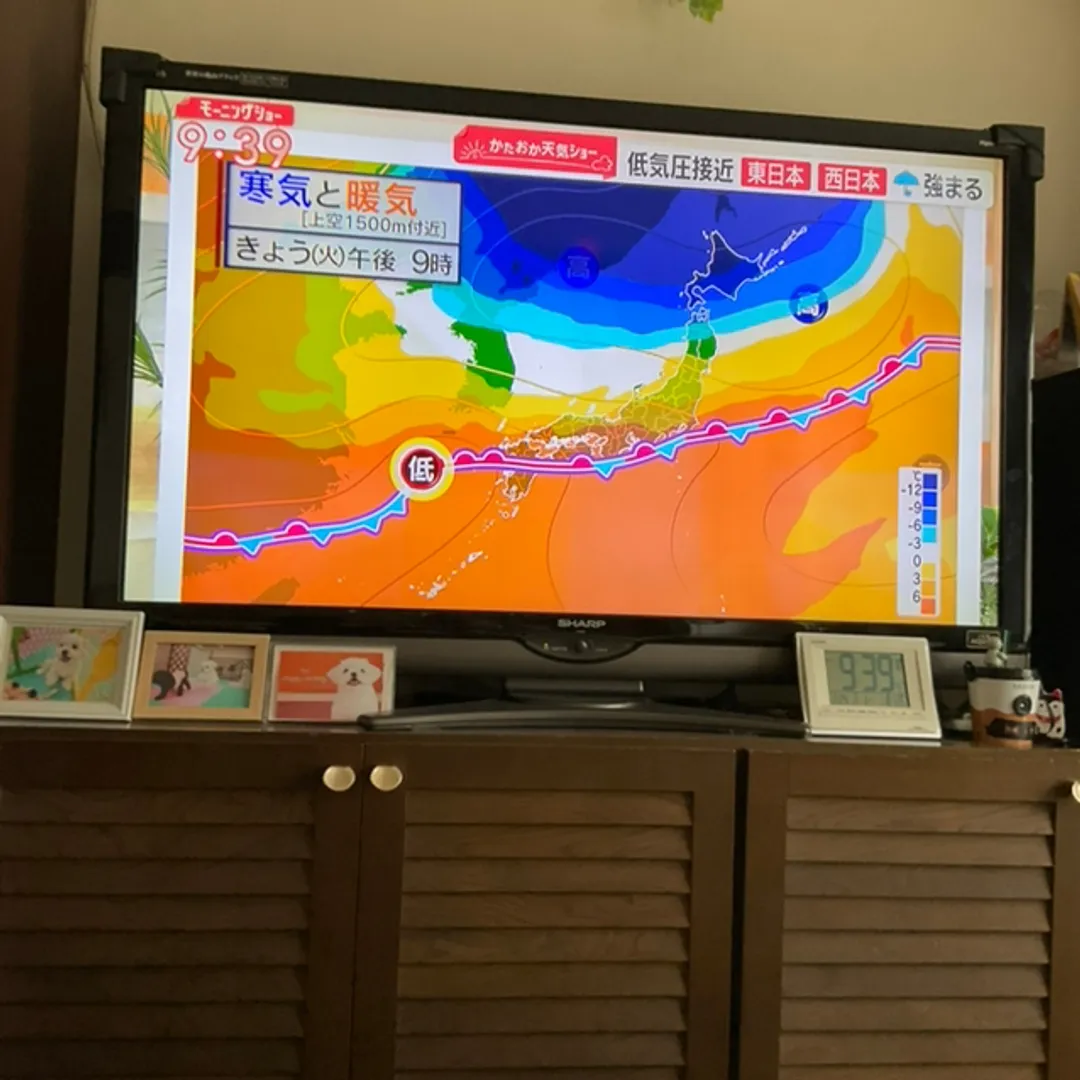 口が空飛ぶ🪽靴👞みたいなおじさんさんの粘土作品 | ライト