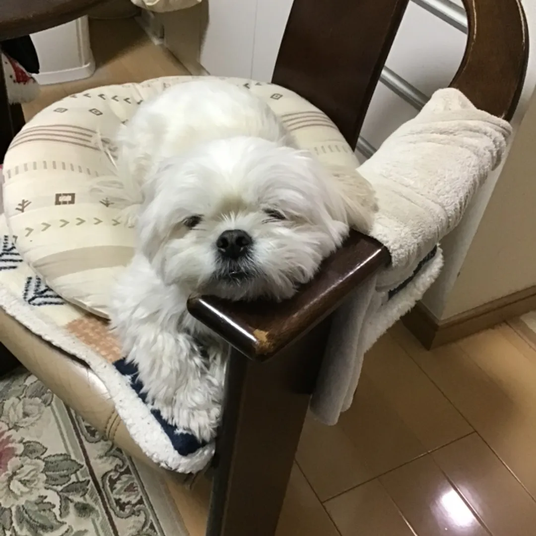 large-amount-nendomanさんの粘土作品 | ライト