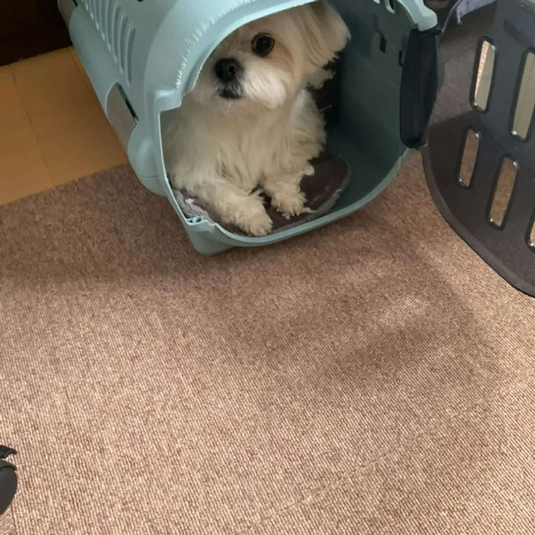 超絶⚡️nendo🏅manさんの粘土作品 | ライト