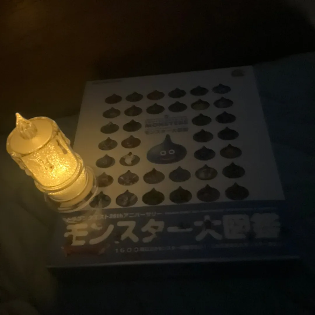 お部屋片付けおじさん🧹さんの粘土作品 | ライト