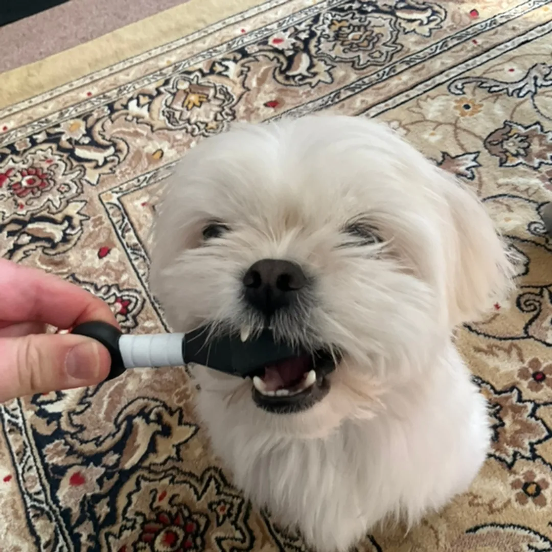 新規の粘土マンさんの粘土作品 | ライト