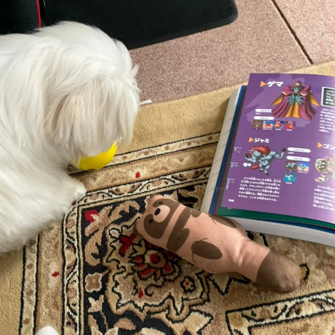 黄金虫みたいな男。さんの粘土作品 | ペット用クナイ🥷。