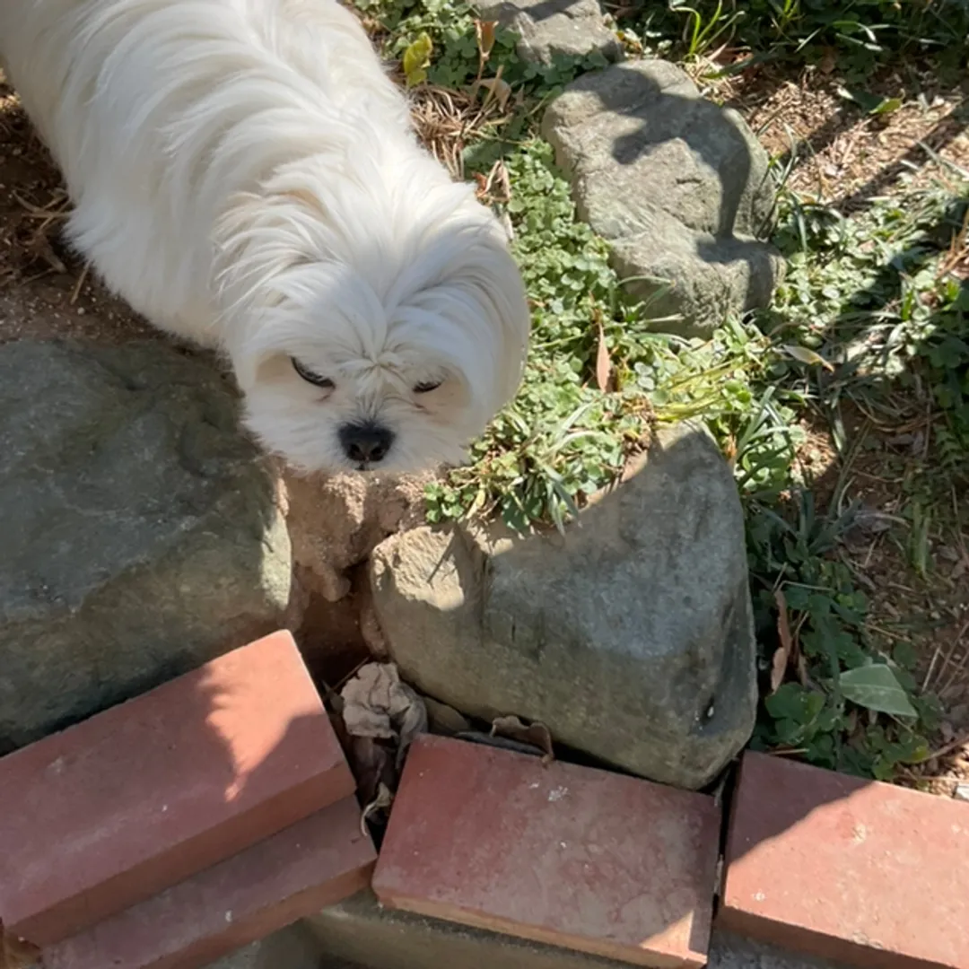 最近……こんな夢を見ます……🥹ネンドマン。さんの粘土作品 | ライト