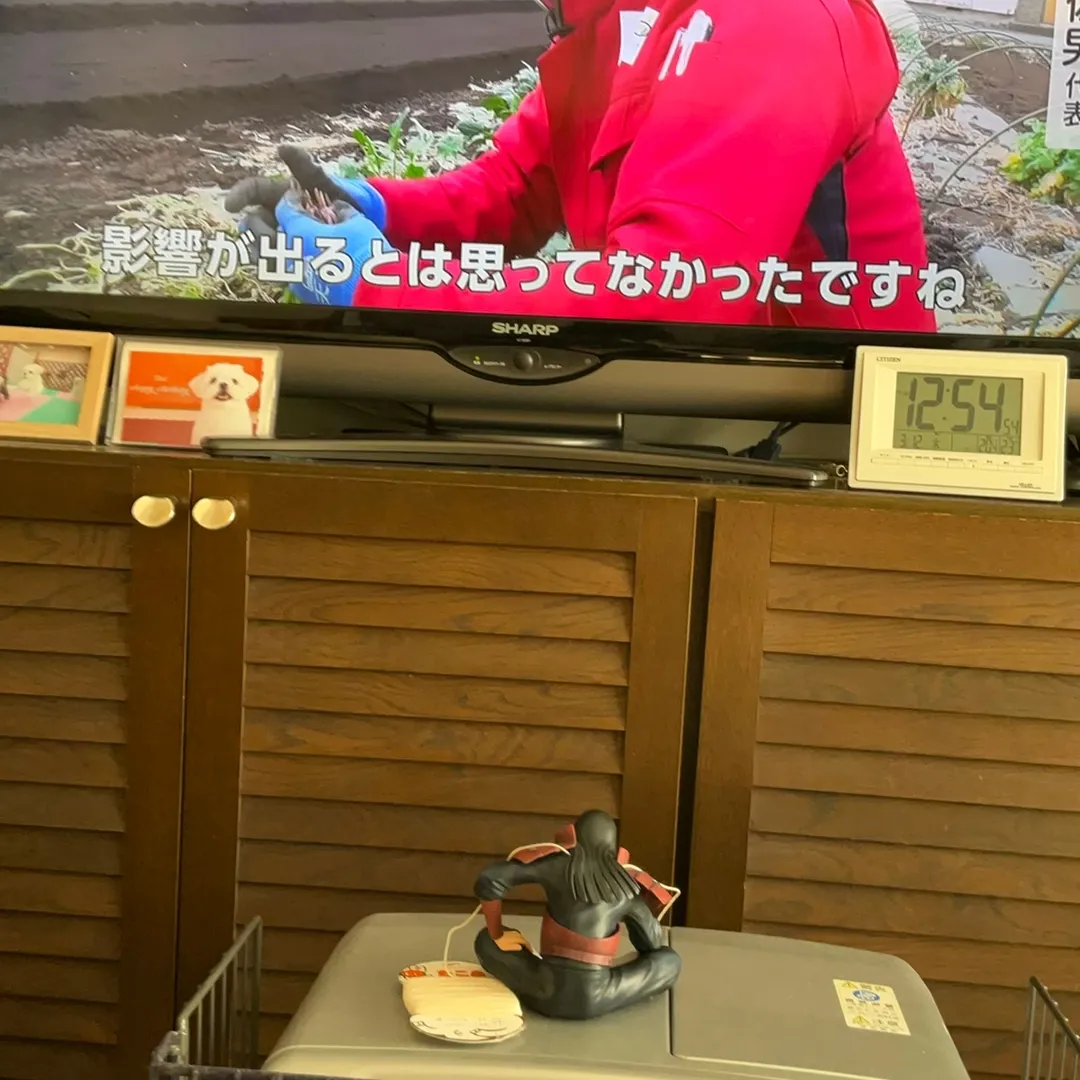 ガッチリ⚡️🚧ネンドマン！さんの粘土作品 | インテリアペーパー📃