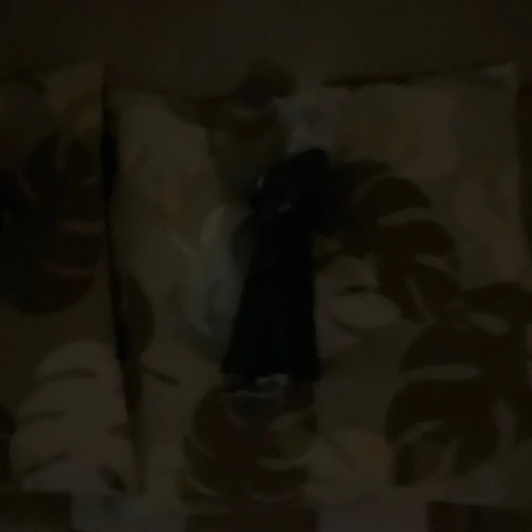 ガッチリ⚡️🚧ネンドマン！さんの粘土作品 | パイン飴