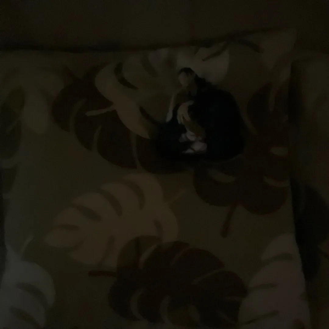 ガッチリ⚡️🚧ネンドマン！さんの粘土作品 | 2本で100円シリーズ。