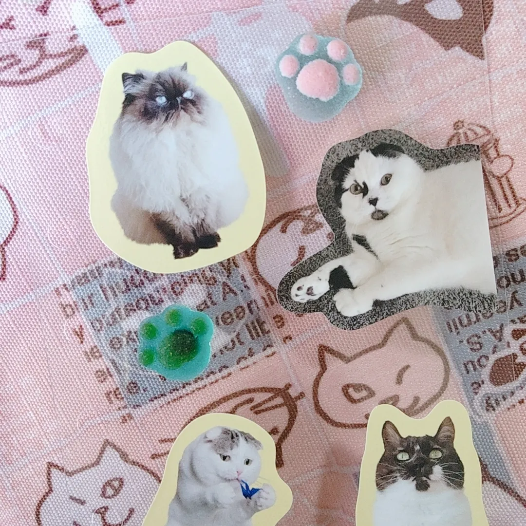 S.snowさんのレジン作品 | シリコンモールド 猫 肉球 ネコ