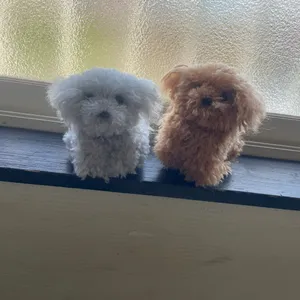 seina1224さんの作品