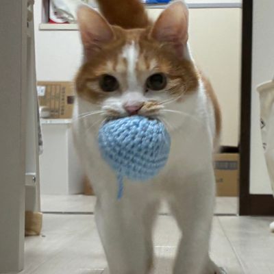 crocchaの作品画像