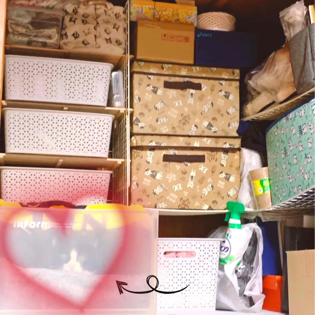 bibi_toraさんのDIY作品 | ワイヤーネット　ダイソー