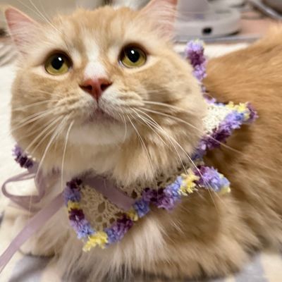 crocchaの作品画像