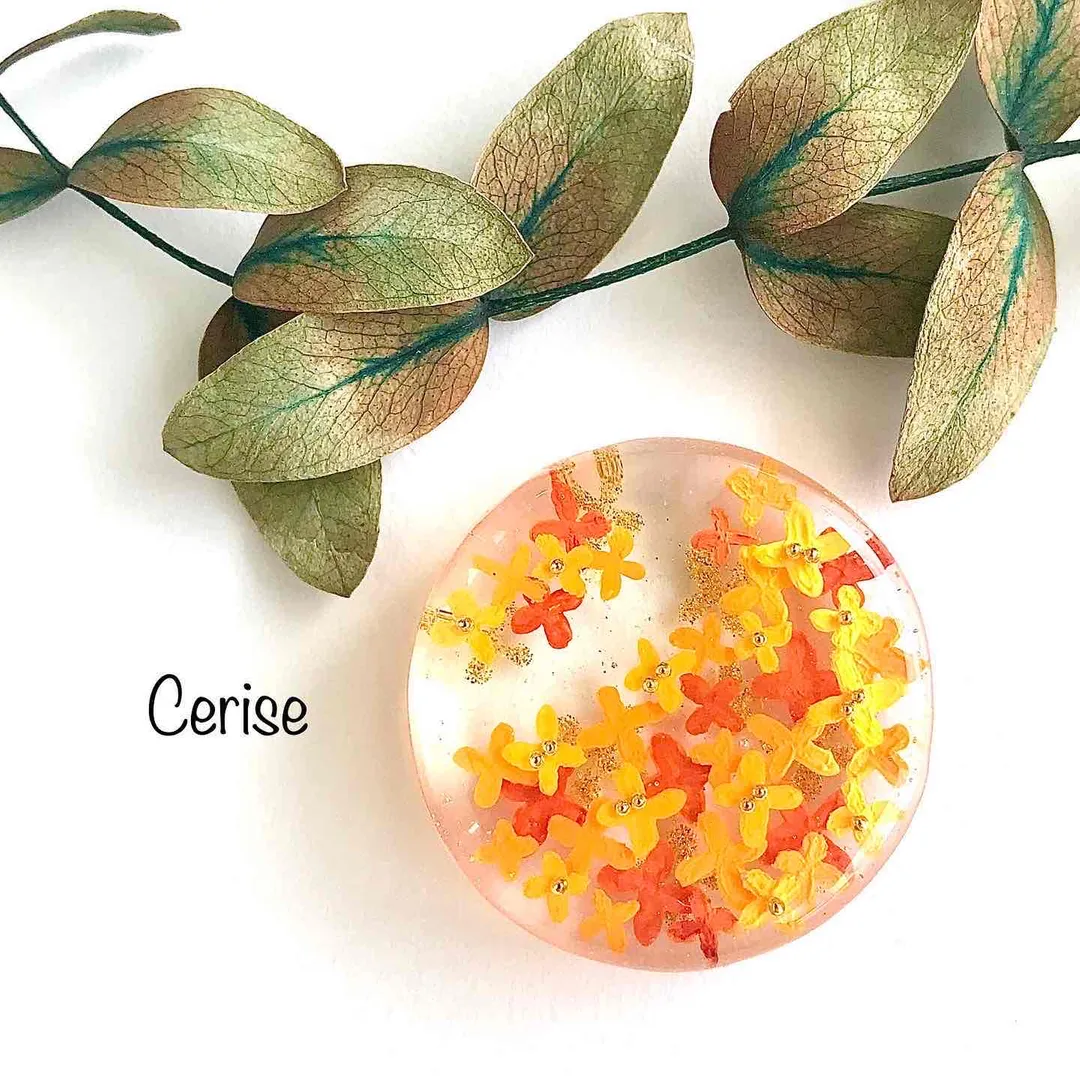 cerise22さんのレジン作品 | 【定期便】作家のためのレジン 200g