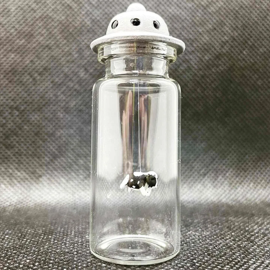 ponkanさんの粘土作品 | 樹脂粘土