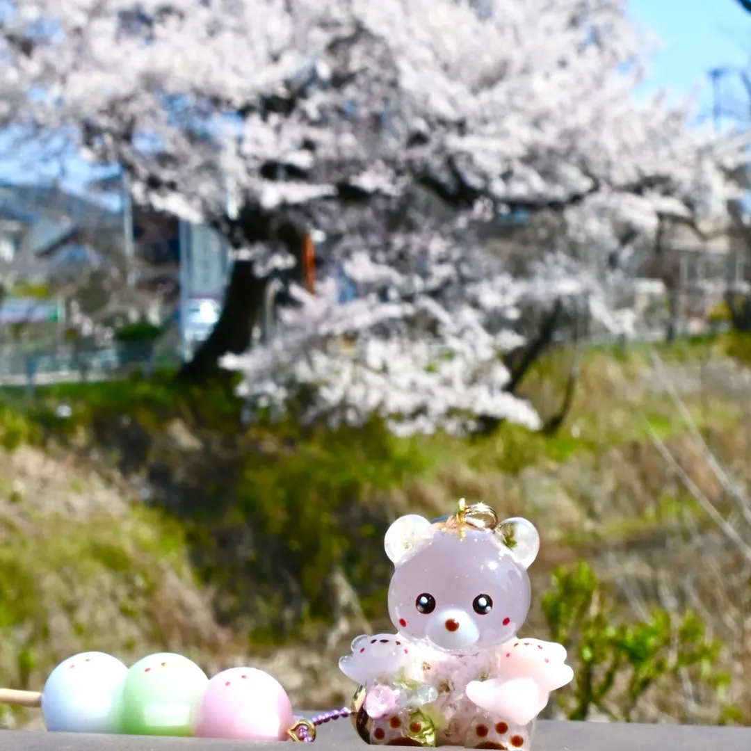 まっｻﾝさんのレジン作品 | 【定期便】作家のためのレジン 1000g