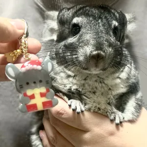 kmgr.ka.chanさんの作品