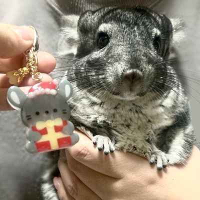 crocchaの作品画像