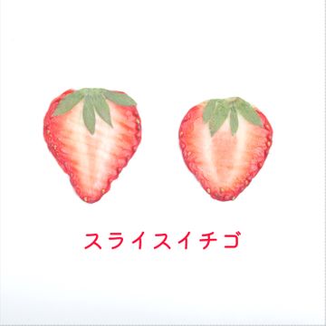 mflowerコラボ】押し花 押しフルーツ 素材 いちご つぶつぶイチゴ 